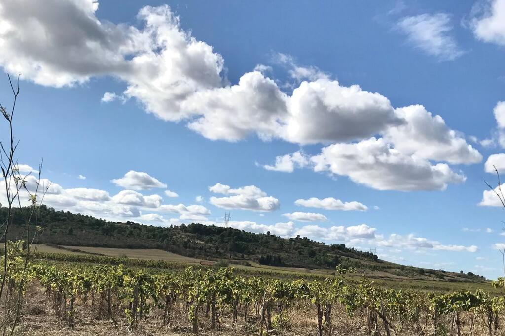 Appartement Le Jutini Caunes-Minervois Bagian luar foto